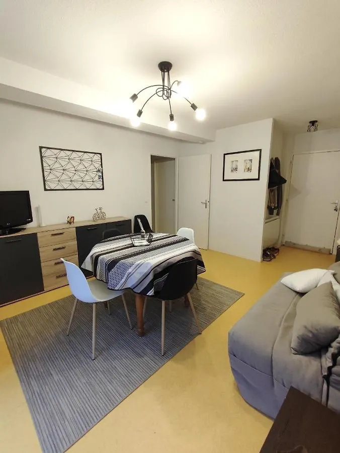 Apartment Grand Appartement En Rdc Vallee De Campan France