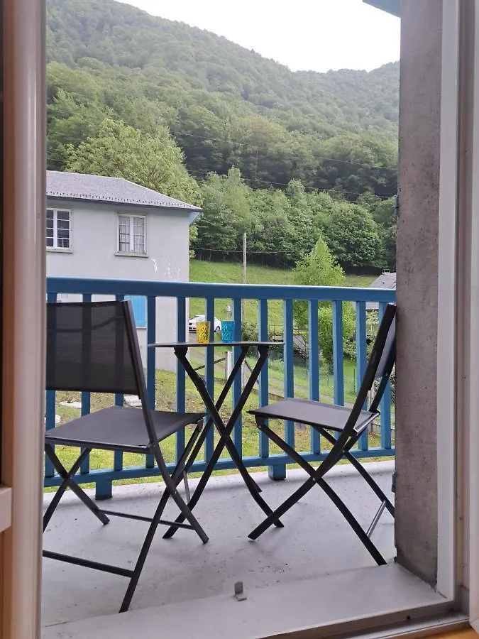 Grand Appartement En Rdc Vallee De Campan Apartment
