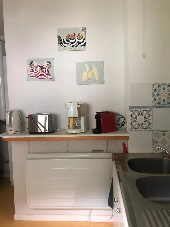 Grand Appartement En Rdc Vallee De Campan Apartment